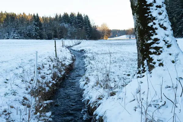 Ländliche Landschaft Winter Bach Auf Einer Wiese Der Nähe Des lizenzfreie Stockbilder