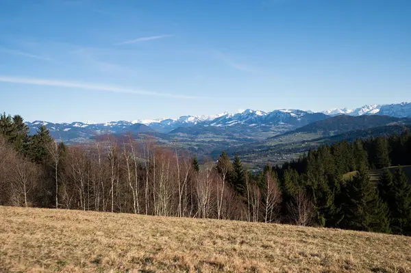 Vista Los Alpes Primavera Marzo Desde Monte Pfender Austria Fotos de stock libres de derechos