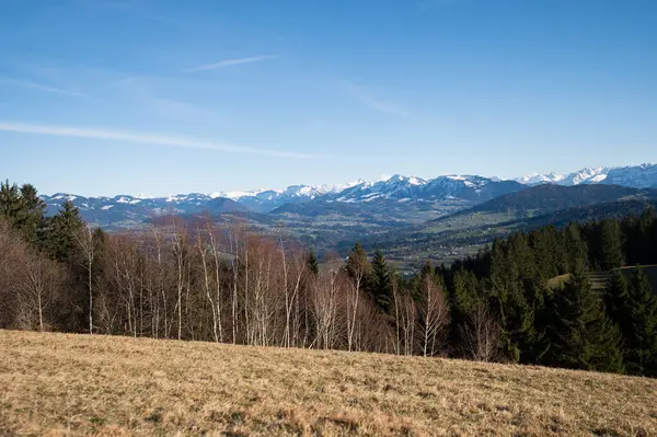 Vista Dos Alpes Primavera Março Monte Pfender Áustria Imagens De Bancos De Imagens