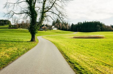 Baharda Almanya 'daki tarlalarda dolambaçlı yollar, yeşil tarlalar ve çayırlar, kırsal alanlar.