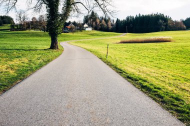 Almanya 'nın çiftliklerinden geçen yol