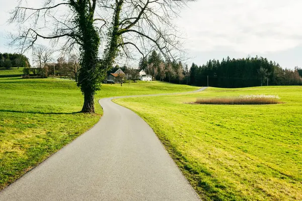 Winding Road Germany Farm Spring Green Fields Meadows Rural — Stock Photo, Image