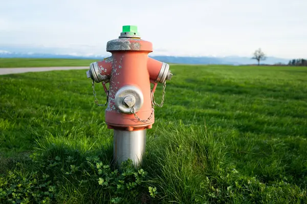 绿地里的消防栓 外面生长的草坪草地 — 图库照片