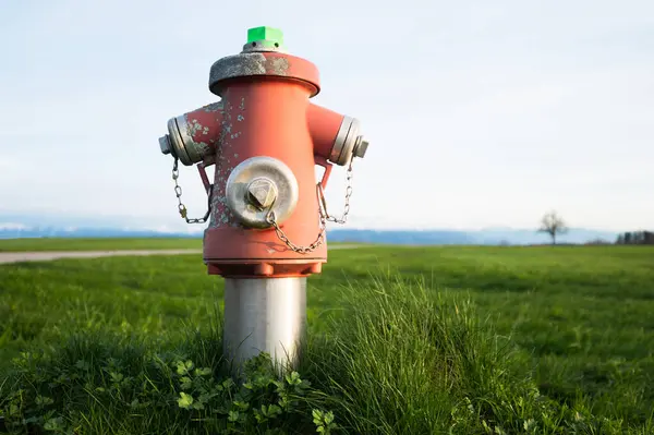 Brandschutz Roter Feuerhydrant Steht Auf Wiese Echtes Foto lizenzfreie Stockfotos