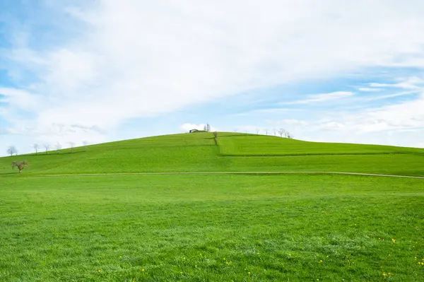 Landschaft Blick Auf Grünes Gras Hang Mit Blauem Himmel Und — Stockfoto