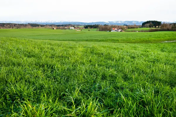 Landscape View Green Grass Field Bavarian Landscape Countryside Stock Picture