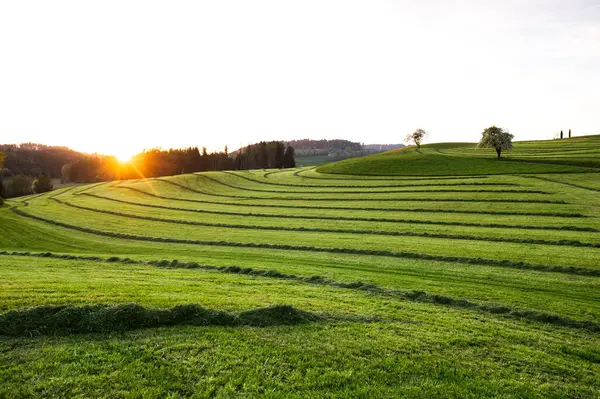 Rasenmähen Auf Feldern Landschaft Und Panorama Süddeutschland Heuernte lizenzfreie Stockfotos