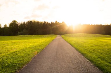 Gün batımında yeşil alanlarda bisiklet sürmek ve koşmak için yol