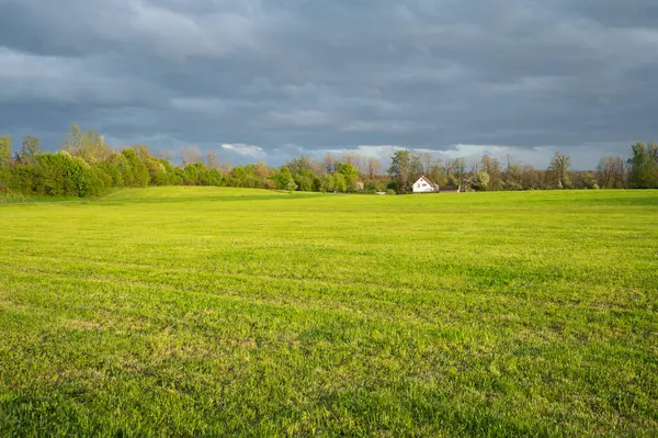 Green Landscape Calm Countryside Featuring House Lush Green Field Stock Picture