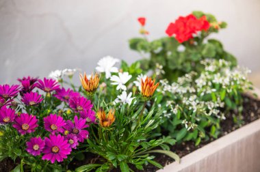 Güzel çiçeklerle süslenmiş sokak