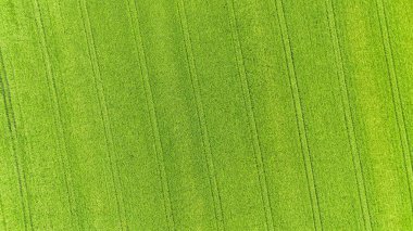 Tarlalardaki tarlalarda renkli desenler, hava manzarası, insansız hava aracı fotoğrafı. İHA 'dan hava görüntüsü