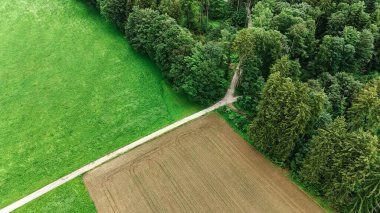 Bir orman insansız hava aracının hava fotoğrafı ve Almanya 'daki bir arazi manzarası.