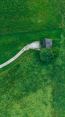 Bir tarlanın ortasındaki terk edilmiş bir evin üst görüntüsü.