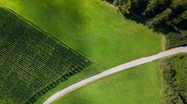 İnsansız hava aracı, temiz tarlaların arasından geçen bir yol ile sakin bir kırsal alan yakalar.. 