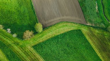 Bavyera kırsalında yeni sürülmüş kahverengi tarla manzaralı verimli yeşil tepeler buluşması..