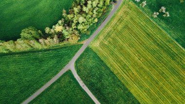 Bereketli yeşil tarlalar, çiçek açan ağaçlar, otlayan koyunlar ve dolambaçlı bir asfalt yolunun yer aldığı Avrupa kırsalındaki sakin bir bahar manzarası. Sahne, kırsal yaşamın huzur dolu özünü canlı çayırlarla ve biraz da ön planda yakalıyor.