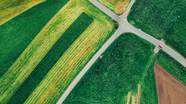 İnsansız hava aracı görüntüsü, parlak yeşil ve kahverengi tarlalar arasında çok yönlü kırsal bir yol gösteriyor..