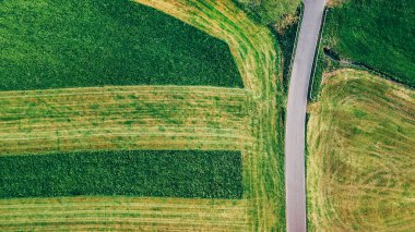 Yukarıdan aşağıya insansız hava aracı görüntüsü toprak yolların kesişimini yakalıyor geniş tarımsal alanları bölüyor, kırsal alanlardaki geometrik desenleri vurguluyor.