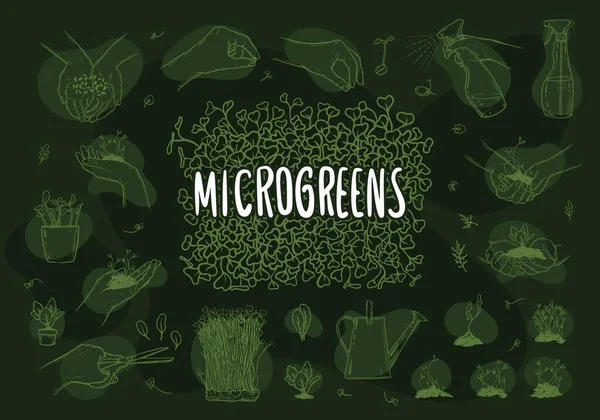 Mikrozielone Graficzny Obraz Ludzkich Dłoni Mikrozieloną Zestaw Akcesoriów Ogrodnictwa Mikro — Wektor stockowy