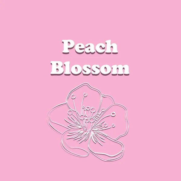 Planta Con Flores Primavera Peach Blossom Ilustración Vectorial — Archivo Imágenes Vectoriales