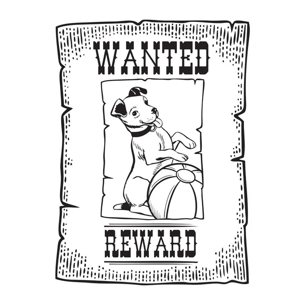 Eine Anzeige Mit Der Abbildung Eines Verlorenen Hunderückkehrers Hat Anspruch — Stockvektor