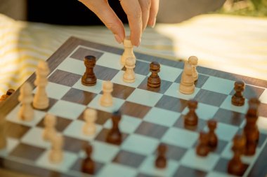 Satranç oyunu. Aile, güneşli bir günde doğadaki bir yaz parkında vakit geçiriyor. Masa oyunu, satranç eğitimi.