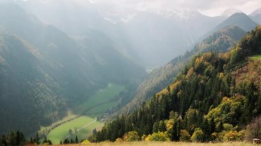 Logar Vadisi 'nde inekler. Bulutlu Ekim dağ vadisine yukarıdan bak, otlakta inekler var. Logarska Dolina, Slovenya. El bilgisayarı tavası