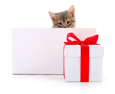 Beyaz arkaplanda pankartı olan kedi yavrusu.