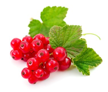 Beyaz arkaplanda yeşil yapraklı kırmızı üzümler.