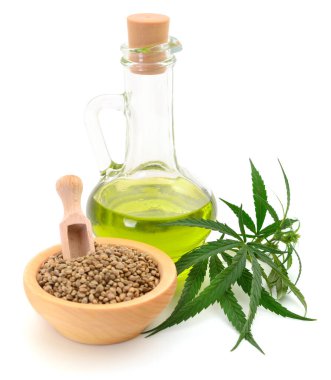 Kenevir tohumu ve kenevir yapraklı cam kenevir yağı şişesi, beyazın üzerine izole edilmiş. Sağlıklı yaşam tarzı, doğal beslenme, organik süper gıda ve sağlık kavramı.