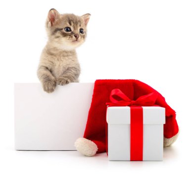 Noel hediyesi kutusu ve beyaz arka planda izole edilmiş kırmızı Noel Baba şapkası olan boş beyaz pankartın arkasında duran sevimli gri kedi yavrusu. Tebrik kartı, bayram kartı ya da şenlikli reklam tasarımı için boşluk kopyala