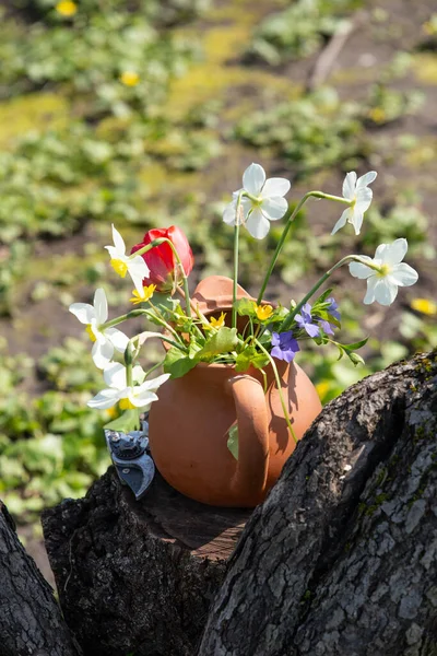 Bukiet Wiosennych Kwiatów Ceramicznym Dzbanku Tle Zielonej Trawy — Zdjęcie stockowe