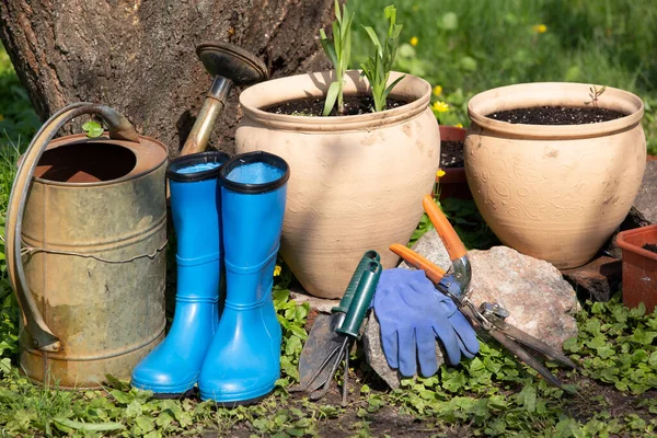Garden Tools Flowers Spring Garden Royalty Free Stock Images