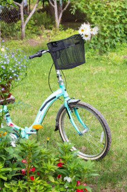 Bisiklet, güneşli bir günde bahçede duran sepeti ile duruyor.