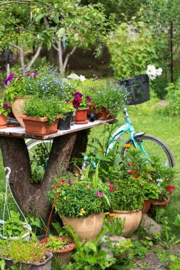 Çiçekli saksılar güneşli bir günde bahçedeki bir masada