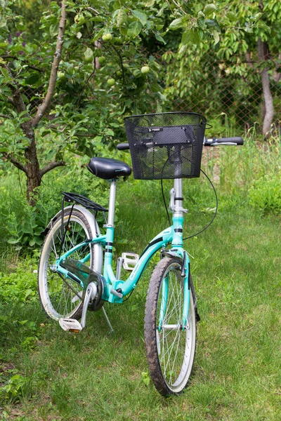 Fahrradständer Mit Korb Stehen Einem Sonnigen Tag Garten — Stockfoto