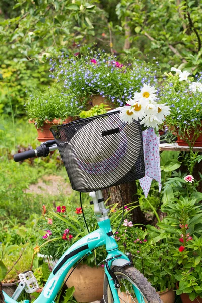 Fahrradständer Mit Korb Stehen Einem Sonnigen Tag Garten — Stockfoto