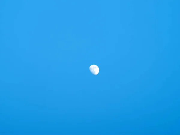 하늘에 하늘에 보름달 — 스톡 사진
