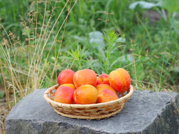 Fruits Abricot Sur Une Soucoupe Osier Debout Sur Une Pierre — Photo
