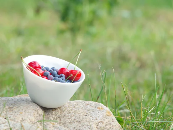 Set Summer Fruits Bowl Fresh Harvest Our Own Garden — Stockfoto
