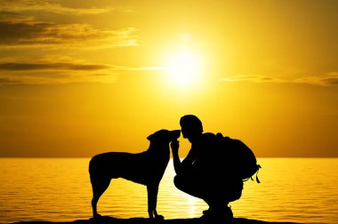 çocuğa karşı günbatımı kadar bir köpekle.