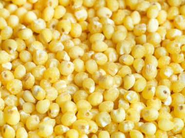 Millet daha yakından bakıyor. Vejetaryen yemek malzemeleri. Makro fotoğraf..