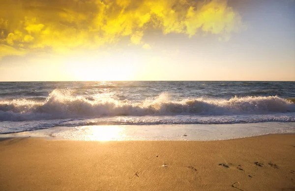 Pôr Sol Praia Verão Composição Natural — Fotografia de Stock