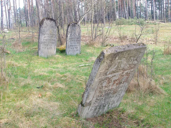 Stone Headstone Abandoned Jewish Cemetery — Stock Photo, Image