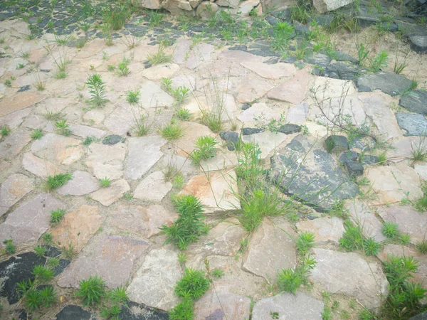 Stary Plac Wybrukowany Naturalnym Kamieniem Porośnięty Trawą — Zdjęcie stockowe