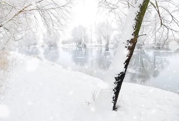 stock image winter river and trees in winter season