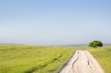 Yazın bir tarlada yol kenarında duran yalnız bir ağaç. Dağlarda bir yol tepelerin ötesinde bir yere gidiyor..