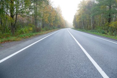 Yol ve sonbahar odunları. Arabalara tırman..