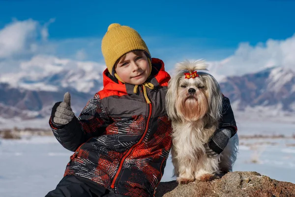 Παιδί Shih Tzu Σκυλί Πορτρέτο Χειμώνα Στα Βουνά Φόντο — Φωτογραφία Αρχείου