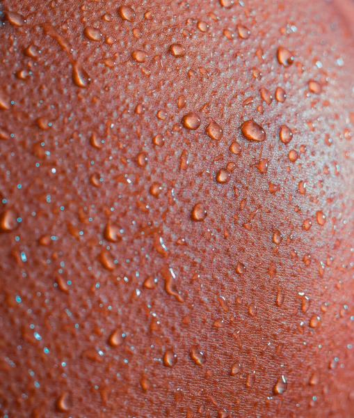 Woman Wet Skin Closeup View — Stock Photo, Image